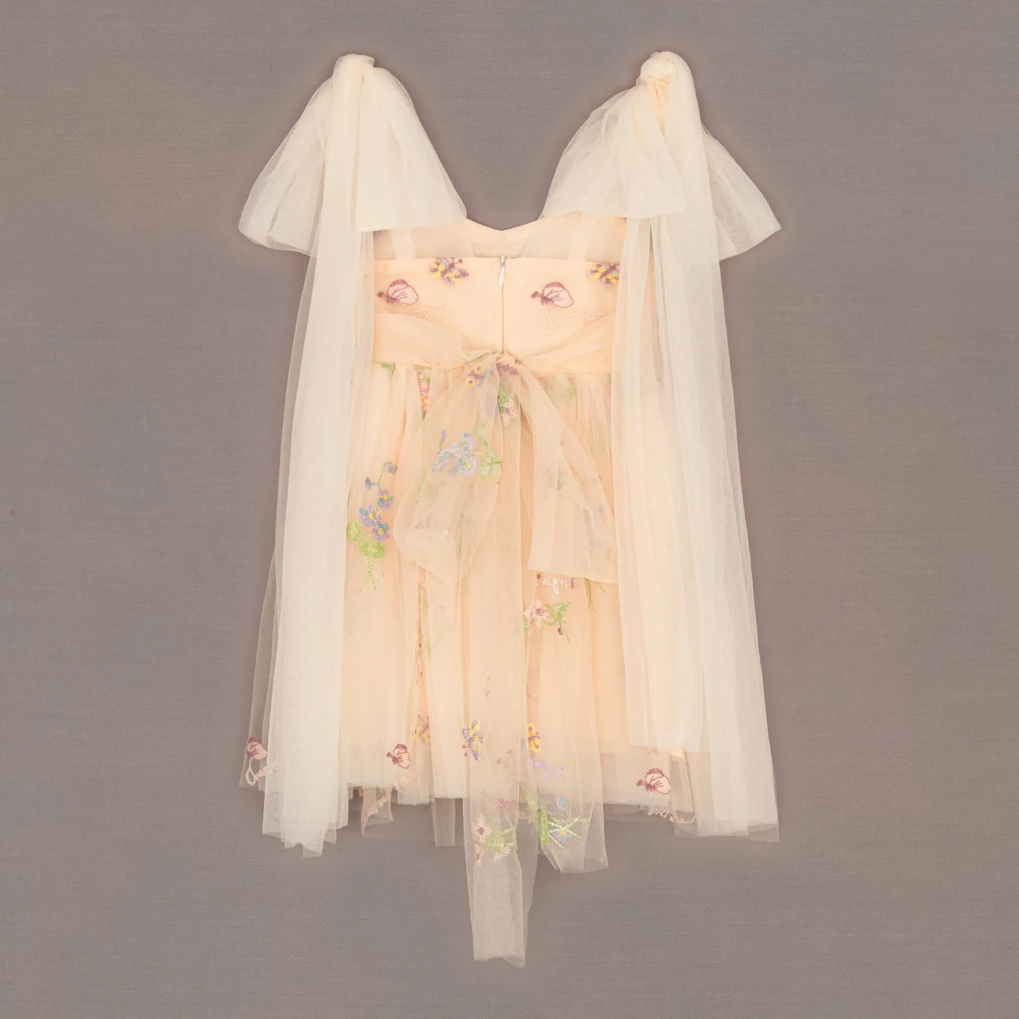 Baby Enchanted Angel Dress - Embroidered Champagne Tulle