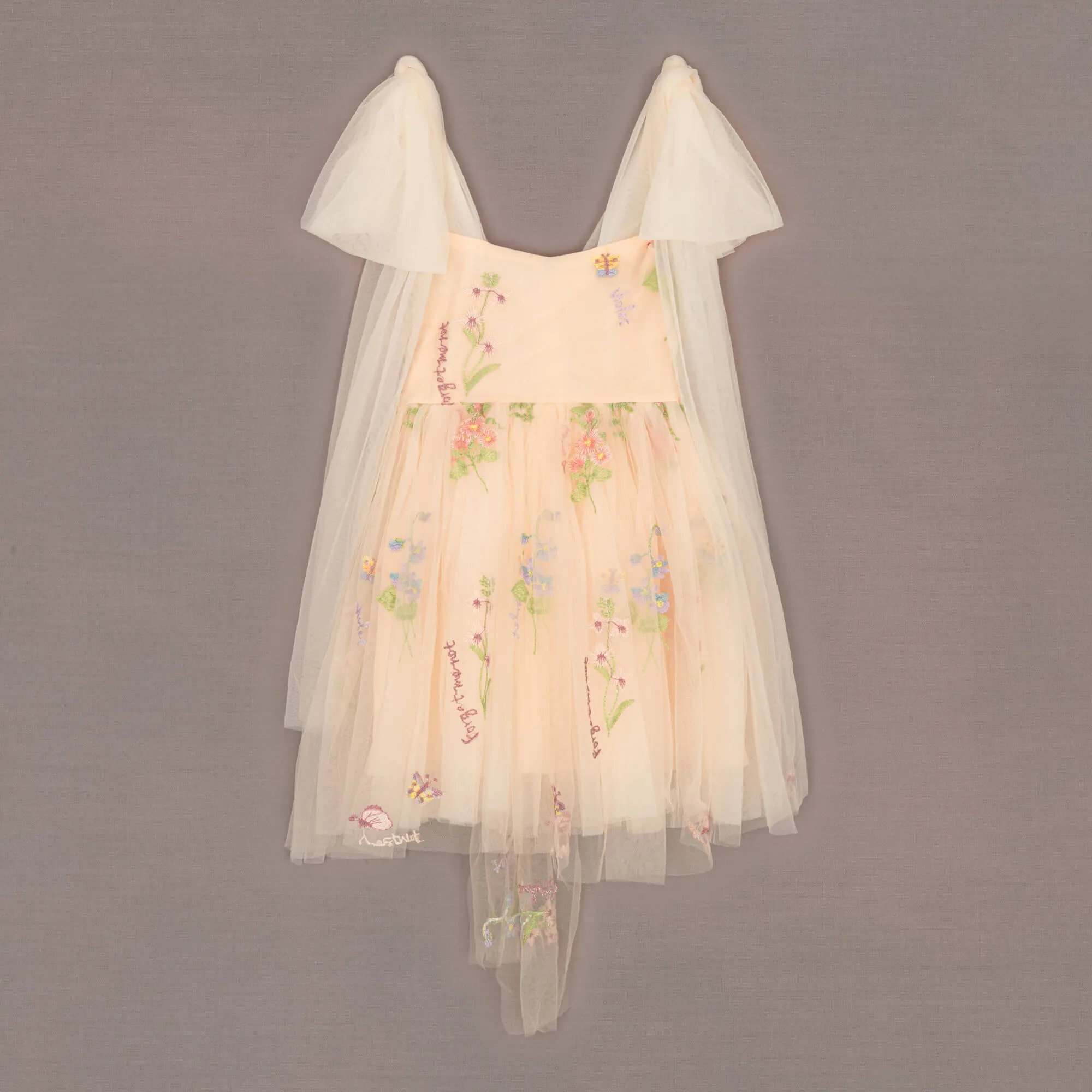 Baby Enchanted Angel Dress - Embroidered Champagne Tulle