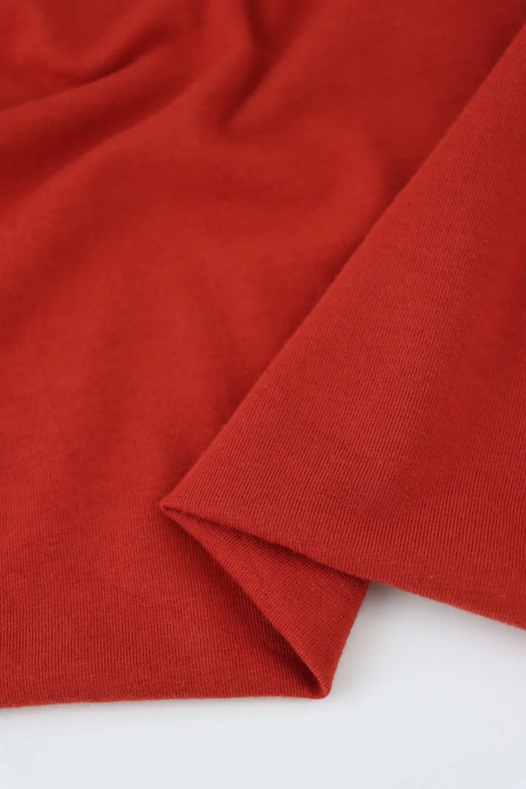 Paprika Lightweight Cotton Spandex Jersey